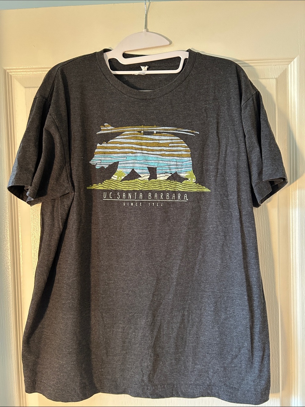 Charcoal University of California Santa Barbara Graphic Tee